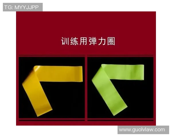 深入探讨北京羽毛球队与其他队伍的实力差异与发展潜力分析