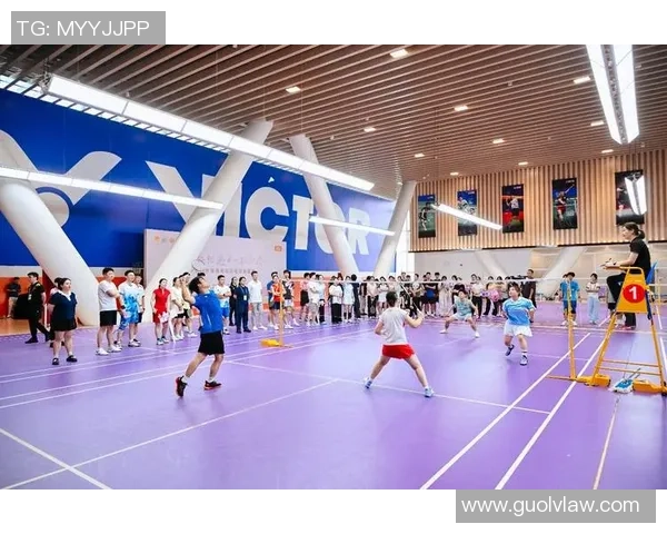 热议羽毛球：杭州羽毛球队的技术变革